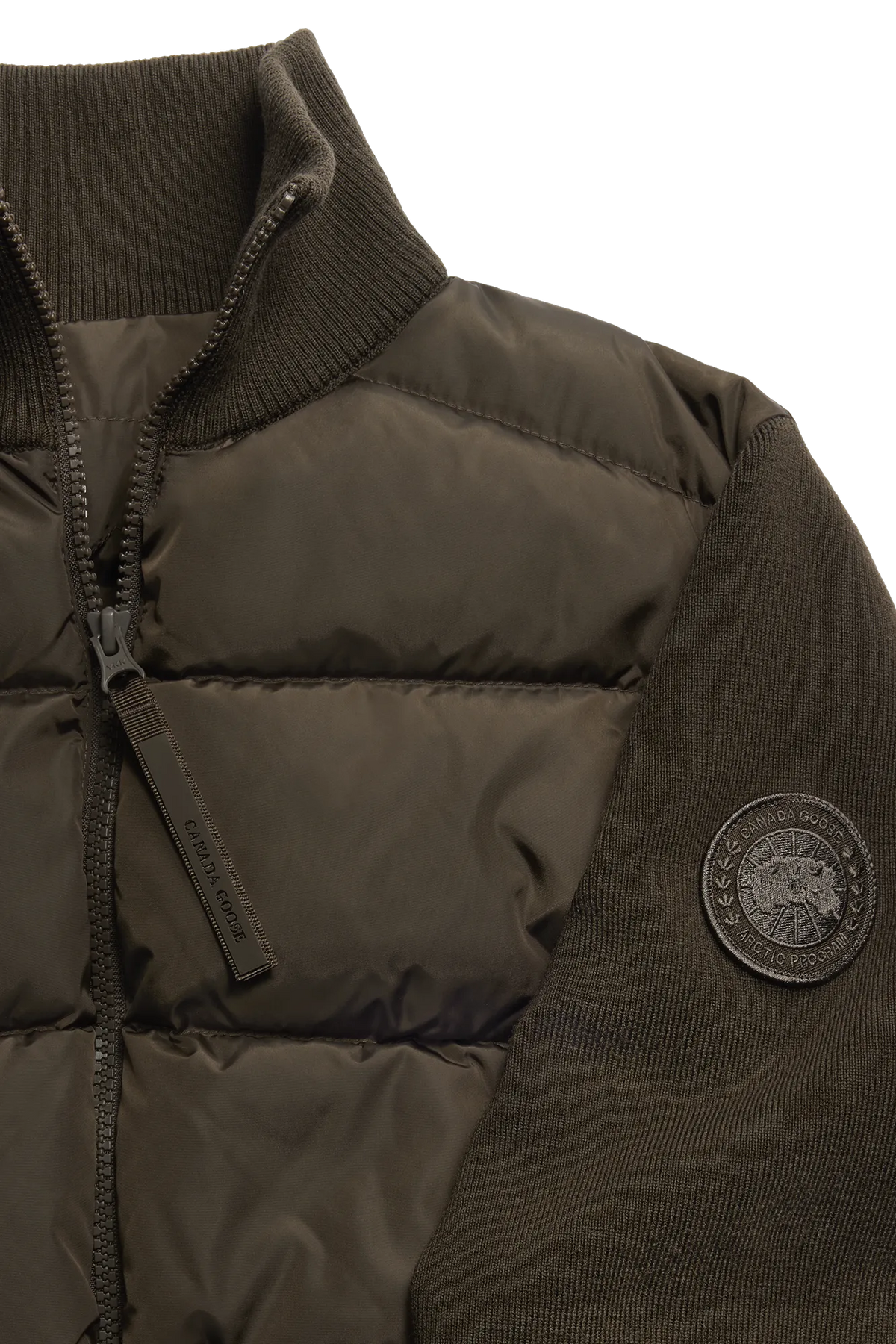 TERRA