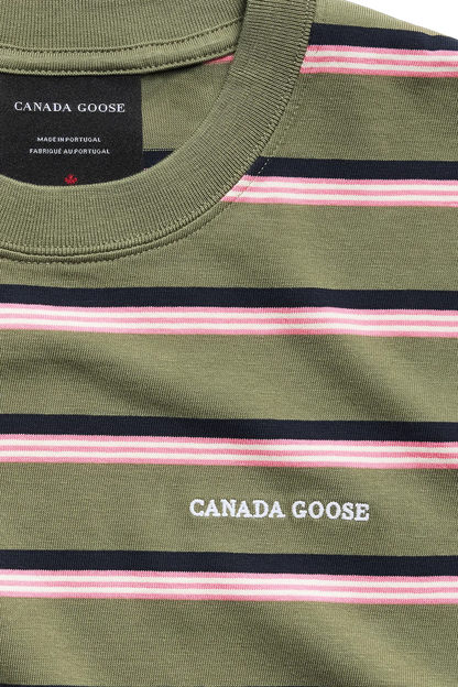 VIREO GREEN STRIPE