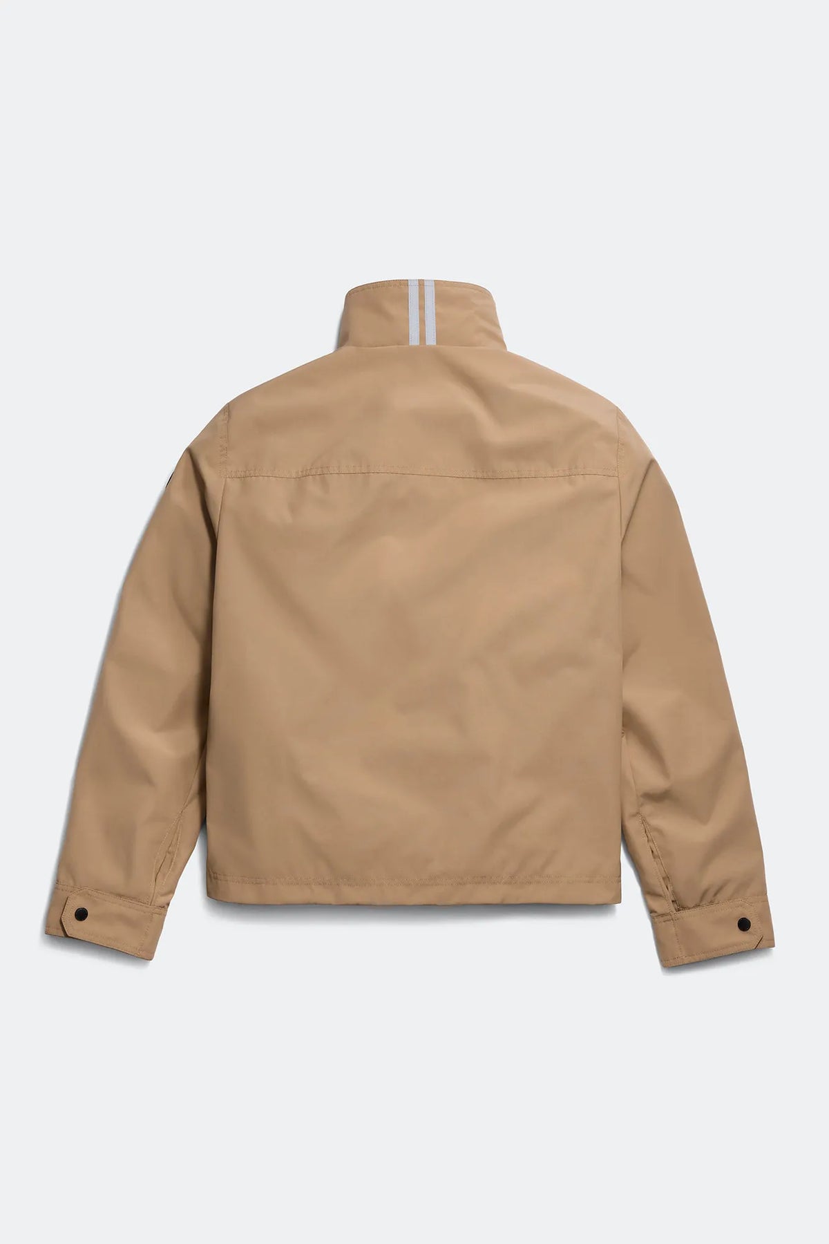 Desert Sand