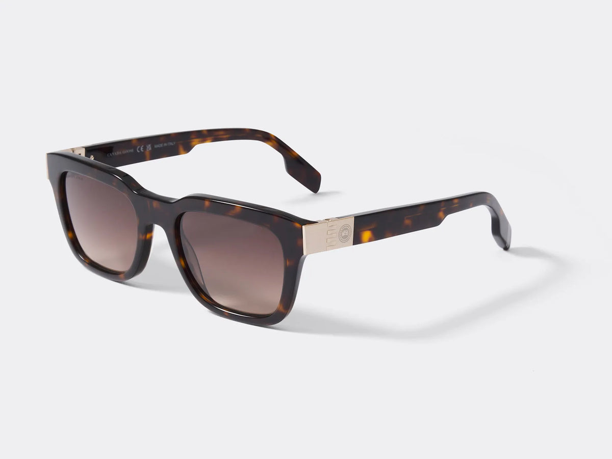 DK HAVANA/GRADIENT BRW