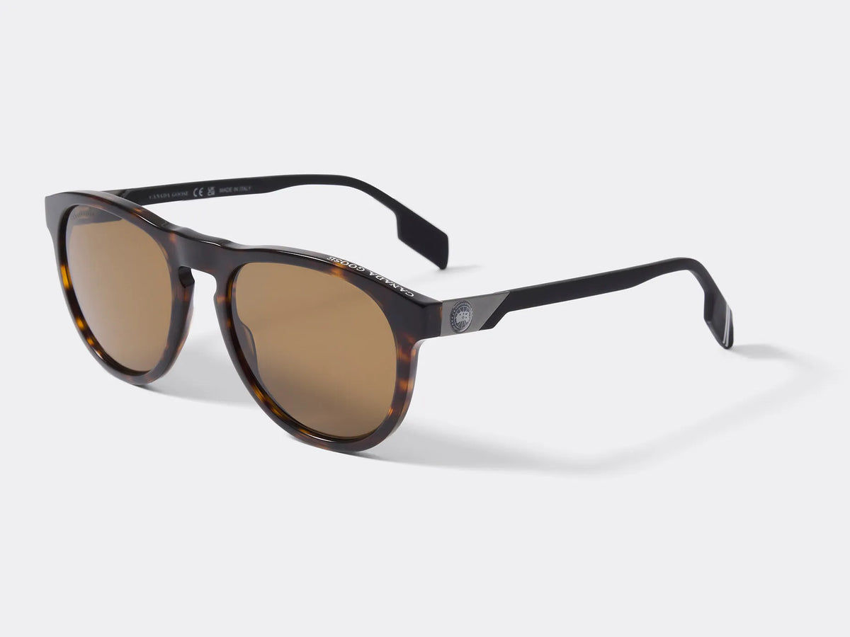 DARK HAVANA/BROWN