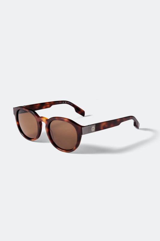 HAVANA/BROWN
